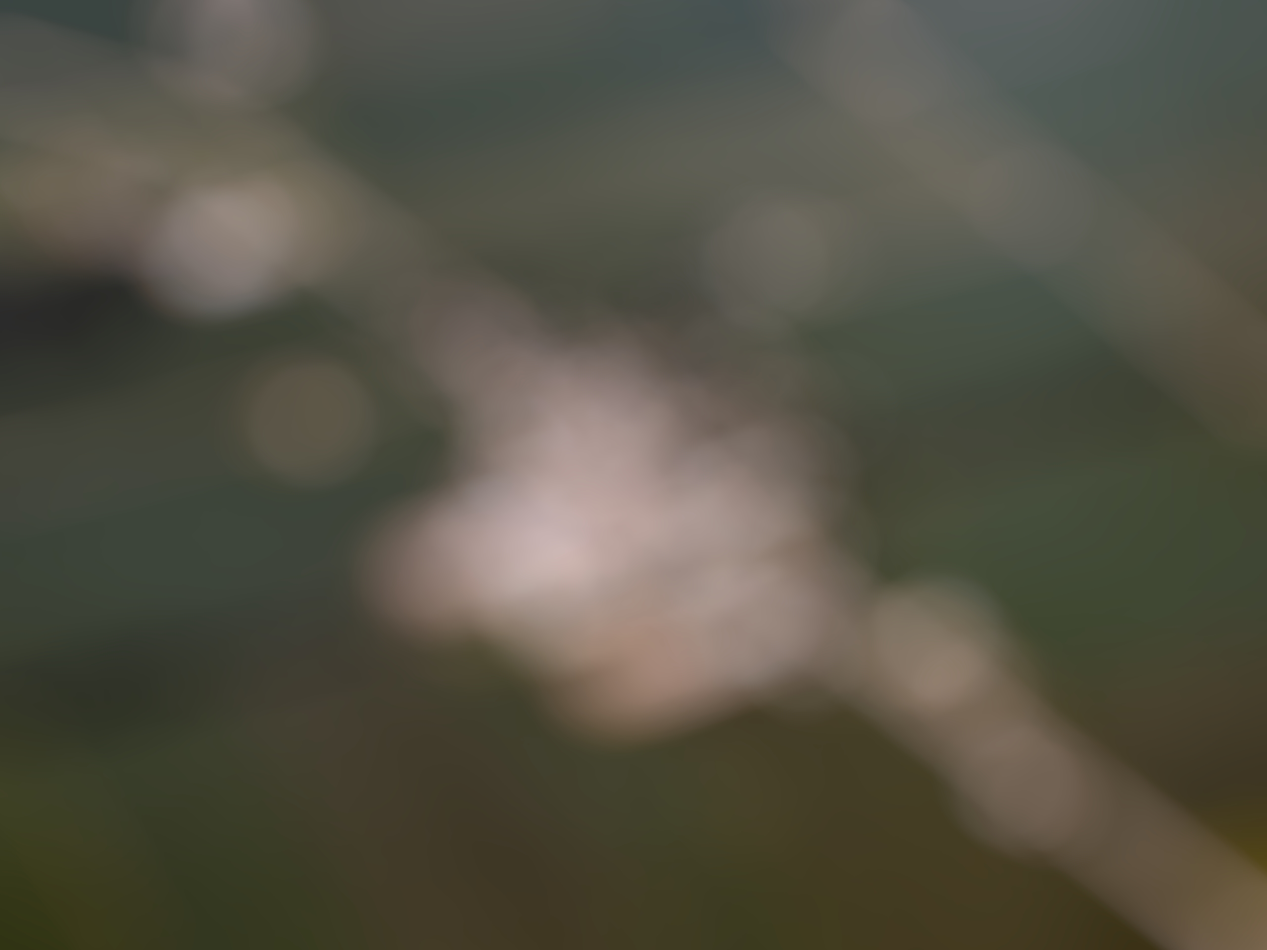 Unsplashed background img 3